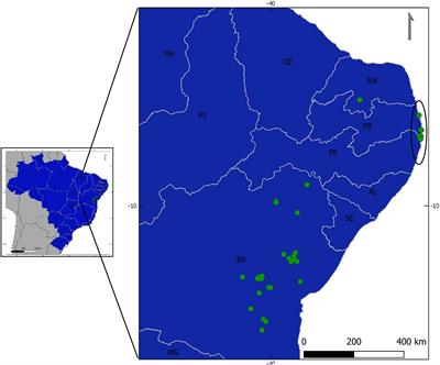 Challenges and Opportunities for in situ Maintenance of the Native Brazilian Cotton Gossypium mustelinum Miers